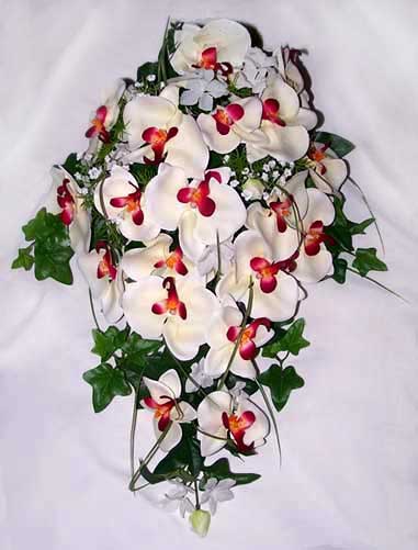 Cascading Orchid